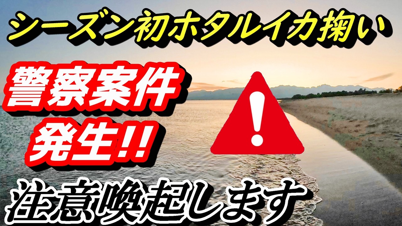 これがホタルイカ掬いの現実です。皆さんも注意してください。