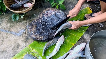 Cá Vồ Chó Kho & Canh Chua Cá Ngát/ Miền Sông Nước Cà Mau.