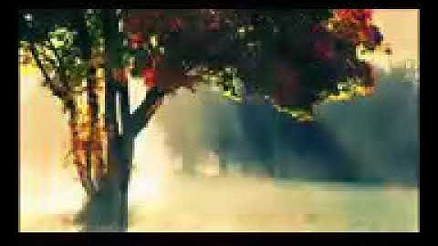 تلاوة رائعة(حماد عزي)