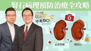 3.14世界腎臟病日🌏慢性腎病正影響全球10億人健康 人為什麼會有腎石? 有哪些前期症狀可以自我檢測? 如何預防及治療各種腎病? 專訪安樂居白幹榮醫生 | 不老80 by Sky Link TV 天下衛視官方頻道 134 views 2 weeks ago 20 minutes