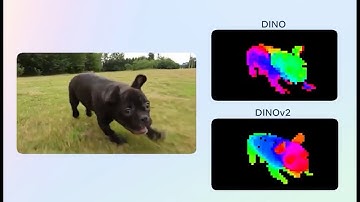 Facebook AI has released DINO V2, a new self-supervised learning method