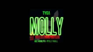 Tyga MOLLY feat. Wiz Khalifa & Mally Mall[Audio]