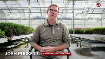 What customers are saying - Sierra Gold Nurseries