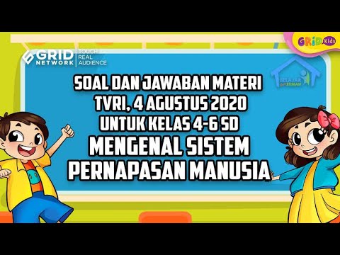 Soal sistem pernapasan pada manusia kelas 8