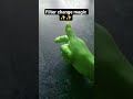 Filter change magic✨#magic #filter #trendingshorts #handmagic #shorts