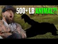 I Was NOT Expecting THIS When I Bought A Farm! | Brantley Gilbert Offstage: At The Dawg House
