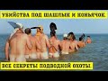 Убийства под шашлык и коньячок - все секреты подводной охоты.