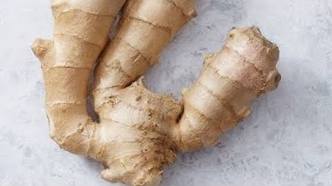 Indian Fresh Ginger Export Quality