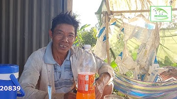 SAU 2 NĂM LẤP TƯỚI CHO VƯỜN SẦU RIÊNG 50 CÔNG GIỜ QUAY LẠI NÔNG DÂN NÓI GÌ?