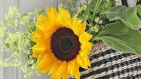 ما تيسر من سورة الأعراف - تلاوة هادئة وجميلة