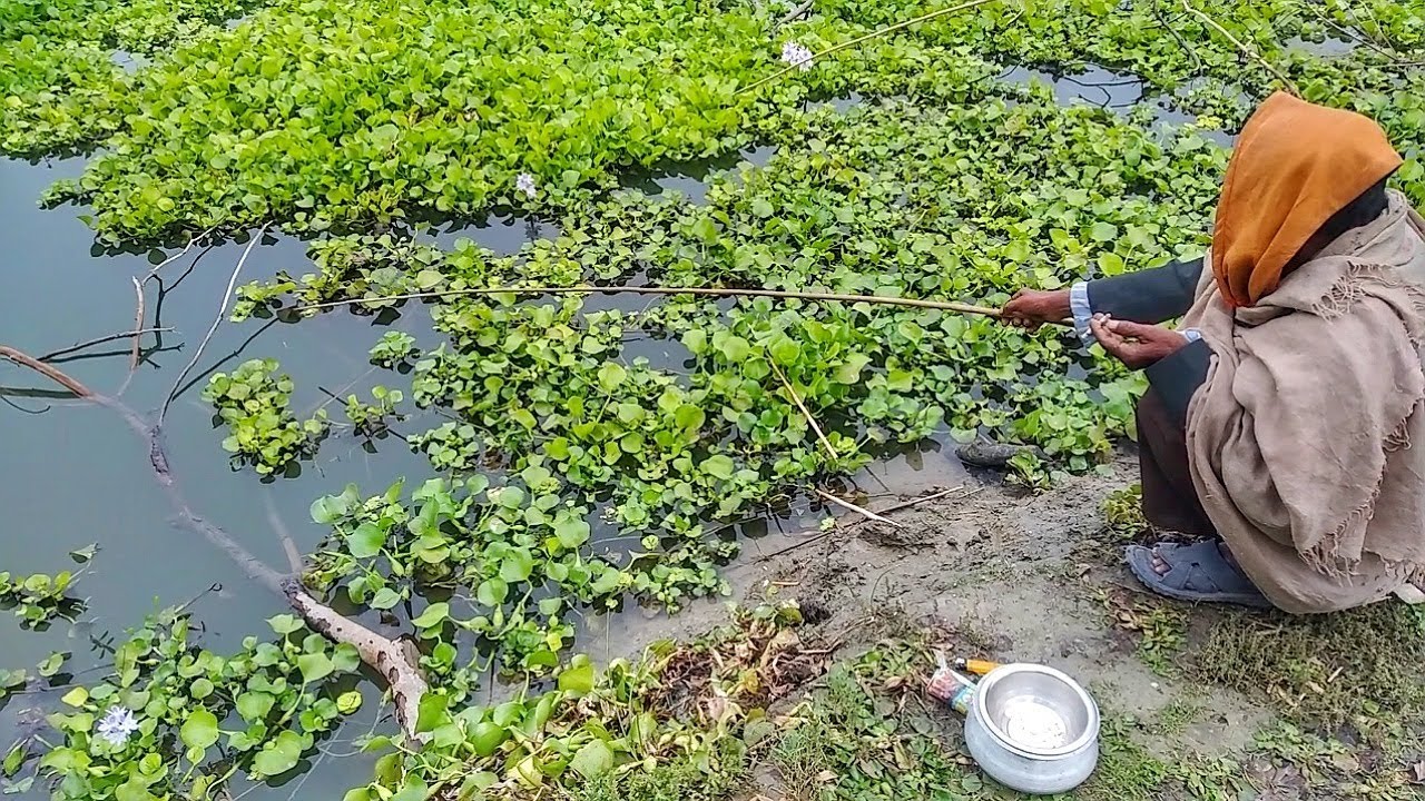 Amazing Fishing Video Village Traditional Hook Fishing Part 3 YouTube