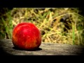 Cómo Cultivar Duraznos - TvAgro por Juan Gonzalo Angel