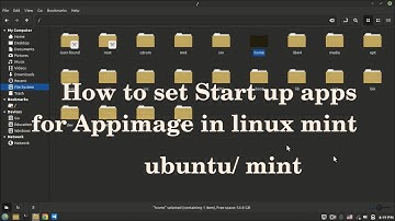 How to set startup apps for custom Appimage in Linux mint | custom command - startup apps