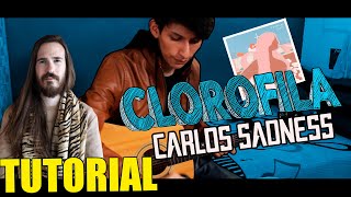Vídeo de Clorofila