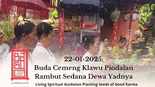 Ide Bagus Artiss Buda Cemeng Klawu Hari Suci Dewa Yadnya Batara Rambut Sedana Memberi Berkah Hidup