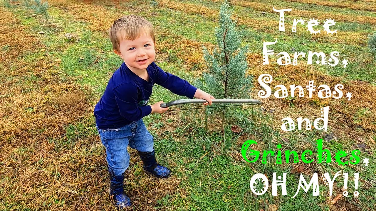 J Line GOES! SHELLS Christmas TREE Farm in Tuscumbia, AL! YouTube