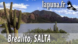 Lagune de Brealito, Salta, Argentine