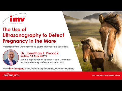 The Use of Ultrasonography to Detect Pregnancy in the Mare