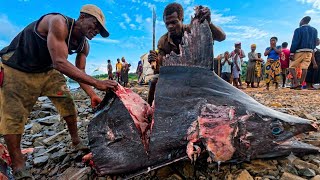 GIANT Catch: Unbelievable Marine Butchery of an Ocean Monster!