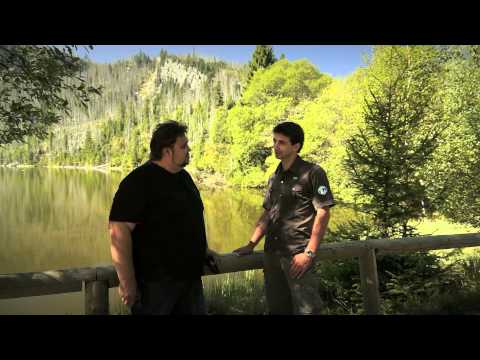 Video: Jak hluboké je jezero zelené řeky?