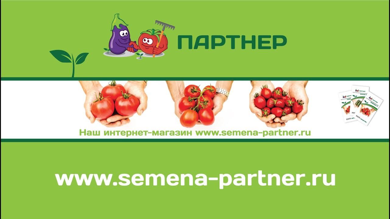 Интернет магазине partner. Интернет магазине partner. Интернет магазине partner. Ниша товаров для интернет магазина. Партнёрская программа интернет-магазин.