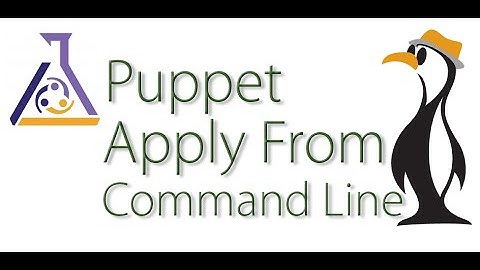 Puppet command line apply configuration