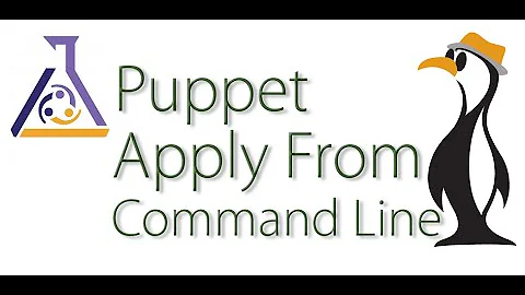 Puppet command line apply configuration