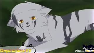Коты-Воители / Warriors cats Звёздное племя/ Star tride Коты-Воители / Warriors cats Звёздное племя/ Star tride