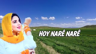 Hozan Narin- Hoy Nare Nare - kürtçe yürekten okunan stran Resimi