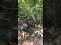 Achei a pepita