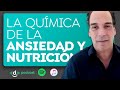 La química de la ansiedad y nutrición - Podcast con Ernesto Prieto Gratacos