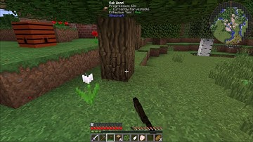 FTB Unstable 1.9.4 Let