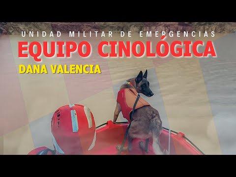 DANA Valencia - Equipo Cinológico