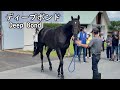 【里山生活】ディープボンドの様子
