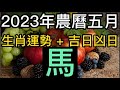 【古柏論命每月運勢 + 吉日凶日】2023年農曆五月(陽曆6/18 ~ 7/17)生肖運勢分享 -  馬