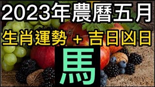 【古柏論命每月運勢 + 吉日凶日】2023年農曆五月(陽曆6/18 ~ 7/17)生肖運勢分享 -  馬