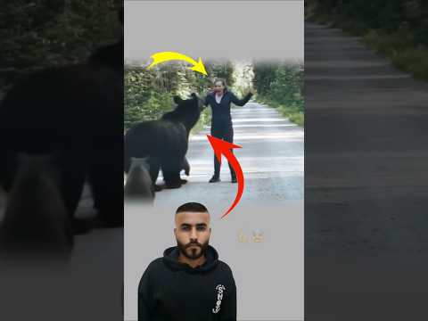 رحمة في طريق الخوف أم تدافع وصانعة خير ترتجف    