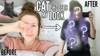 MY CAT CHOOSES MY LOOK FOR THE DAY!? (Makeup, Hair, Outfit etc...) | Sophie Louise MY CAT CHOOSES MY LOOK FOR THE DAY!? (Makeup, Hair, Outfit etc...) | Sophie Louise