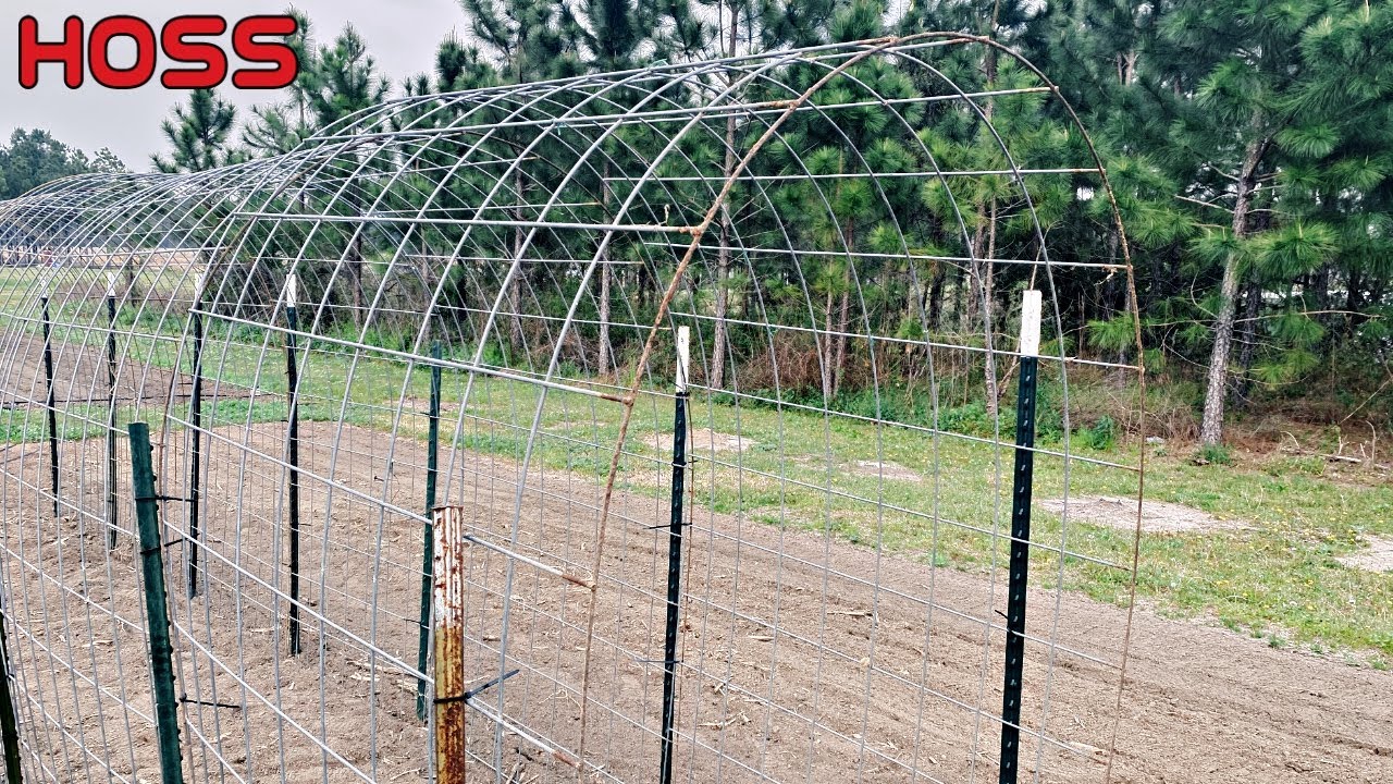We Made an Arch to Pick Beans in the Shade!