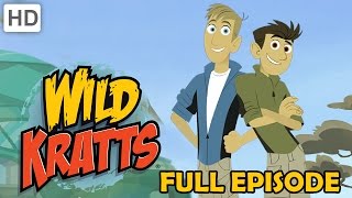 Wild Kratts - Most Popular Full Episodes - 2 Hour Compilation