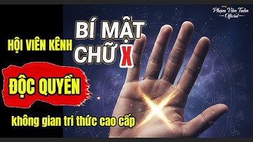 Chào mừng bạn, Hội Viên Ưu Tú, bước vào không gian tri thức độc quyền của Phạm Văn Tuân Official.