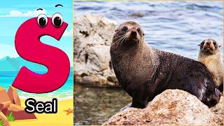 ABC Sea Animal Sounds 128TH1 | Nursery Rhyme for Kids | Koko Study Class