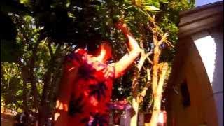 VIETNAM | MUI NE | MANGO TREE
