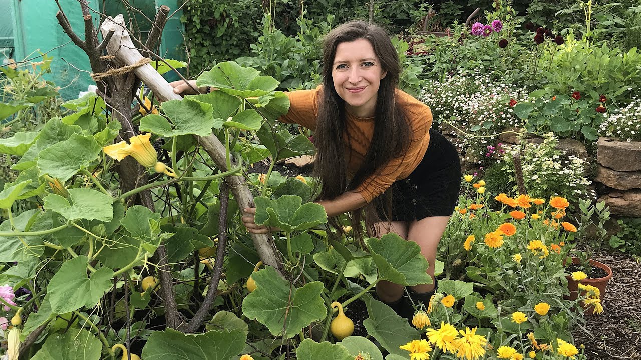 July Allotment Garden Tour 2020 / Homegrown Garden