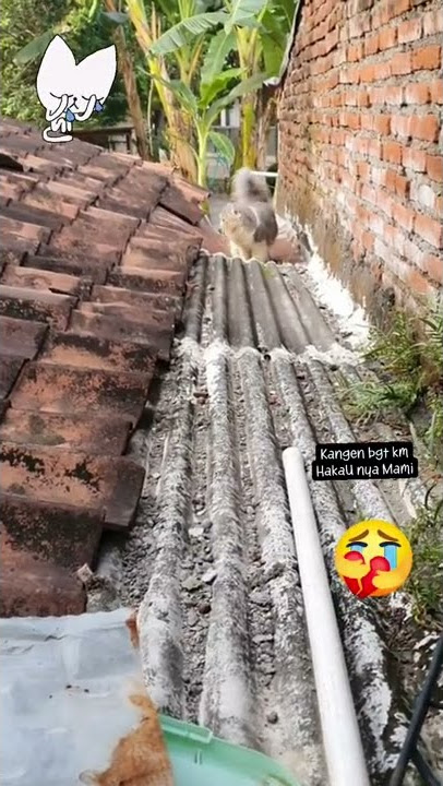 STORY WA 30 DETIK ✴️ || STORY WA TERBARU || STATUS WA 30 DETIK || STORY WA KEREN #Shorts