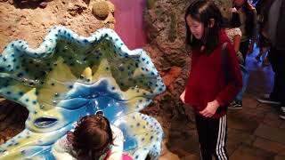 180309 Monterey Aquarium(5)