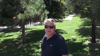 Ben Yoruldum Hayat, Mümi̇n Sarikaya