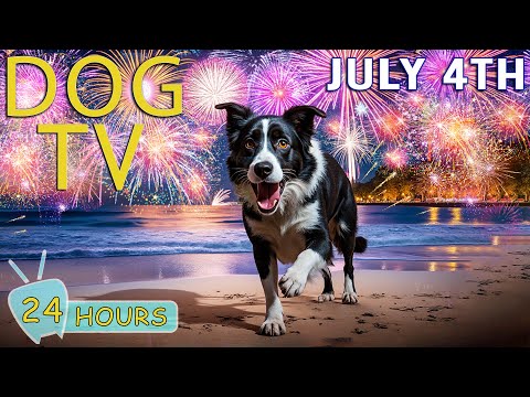 DOG TV: July