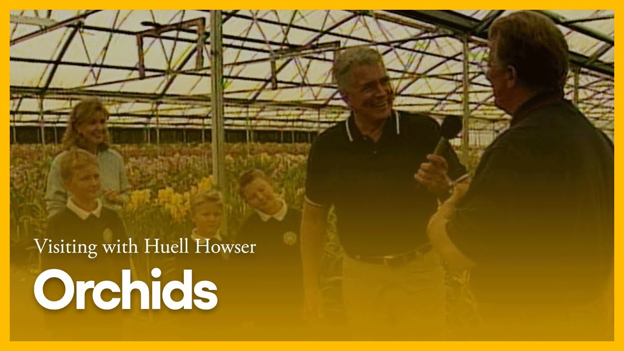 Orchids | Visiting with Huell Howser | PBS SoCal - YouTube