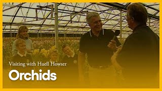 Orchids | Visiting with Huell Howser | PBS SoCal screenshot 1
